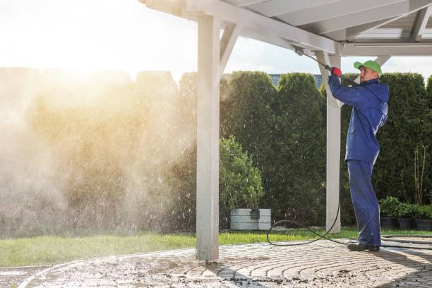Best Gutter Cleaning  in Hazel Park, MI