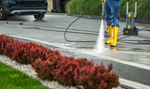 Best Soft Washing  in Hazel Park, MI