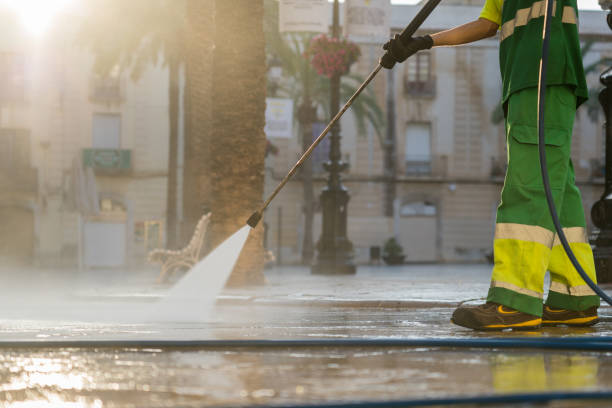 Best Sidewalk and Walkway Cleaning  in Hazel Park, MI